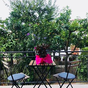 B&B Miccio